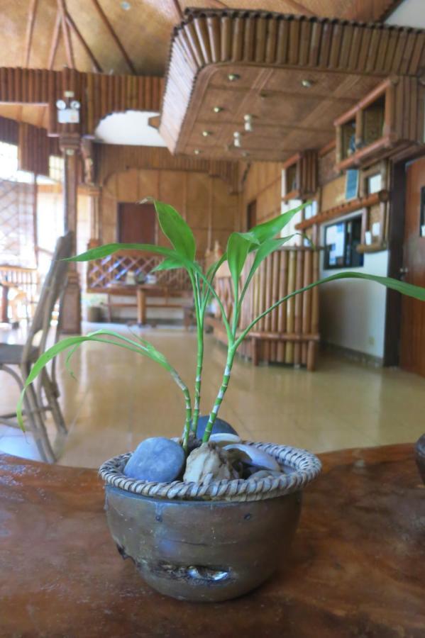 Pagdayon Traveler'S Inn Puerto Princesa Luaran gambar